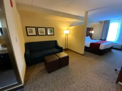 Comfort Suites Fredericksburg North - 83