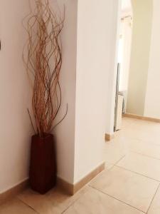 Andromaco Palace - 14