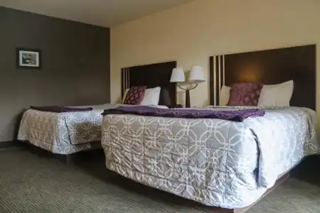Lemon Tree Inn - 41