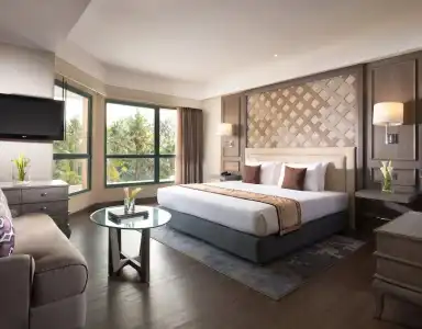Meliá Purosani - 34