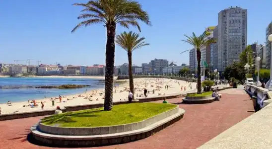 Hostal Hotil - 13