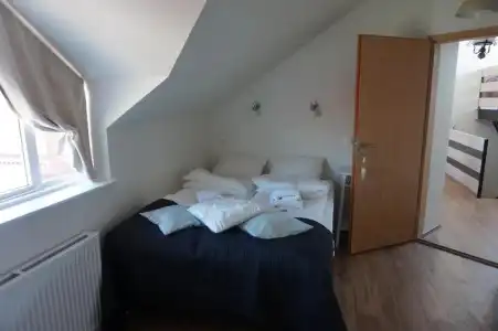 Skorrahestar - 40