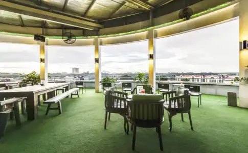 The LimeTree - 16