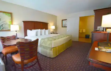 Rosen Inn, closest to Universal - 5
