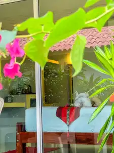 Lanta A&J Klong Khong Beach - 34