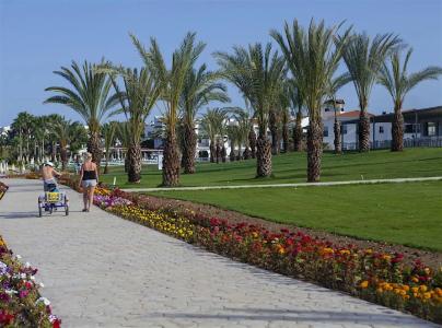 King Evelthon Beach & Resort - 33