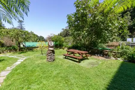 Quinta Das Murtas B&B - 30