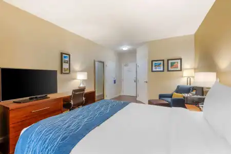 Comfort Inn & Suites near Ontario Airport - 63