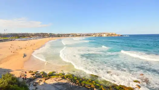 Watsons Bay Boutique - 11