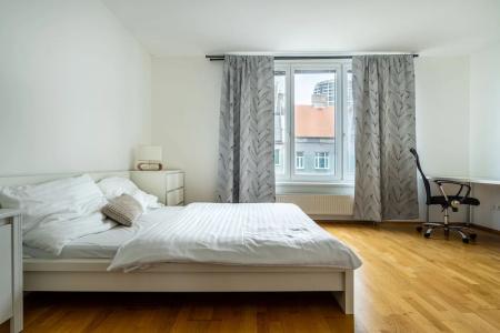 Business & Family Ambiente Apartments - 196