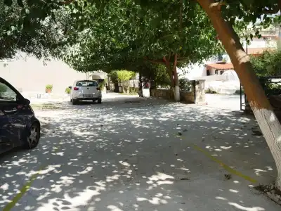 Oriana - Adults Only - 12