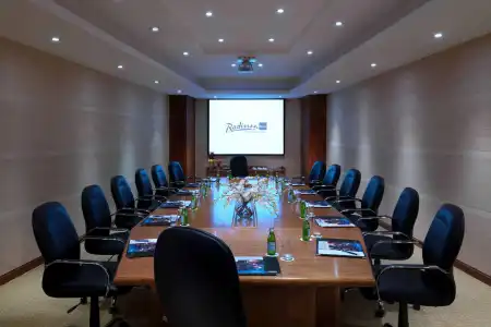 Radisson Blu & Convention Center, Alexandria - 16