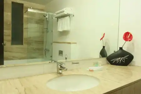 Emblem, New Friends Colony - 45