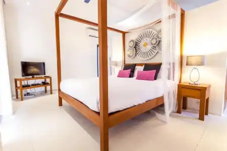 Samui Blue Orchid - 55