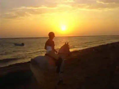 Blue Beach Club - 13