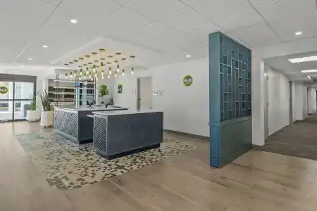 B&B Orlando International Drive Near Universal - Newly Renovated! - 10