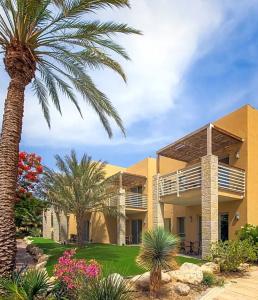 Ein Gedi Kibbutz - 83