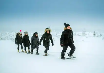 Star Arctic & Activities - 20