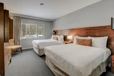 The Juniper - 26