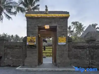 Green Field Resort - 142