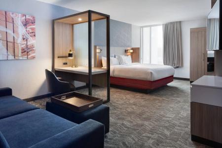 SpringHill Suites Orlando at Millenia - 37