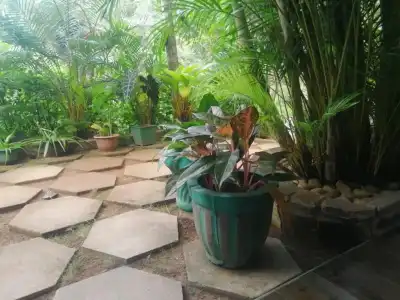 Ella Flower Garden Resort - 17