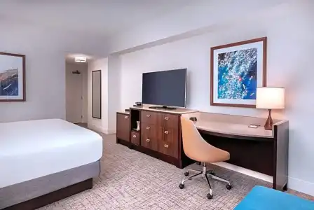 Hilton San Diego Bayfront - 87