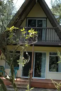 Park Motel and Cabins - 277