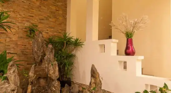 La Palm - 21