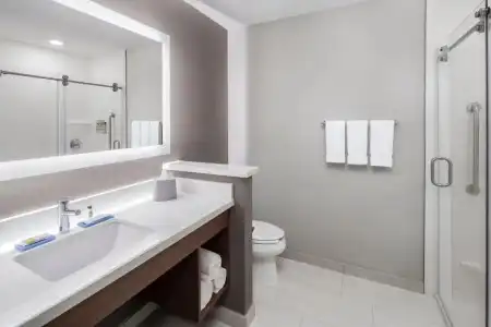 Holiday Inn Express & Suites Odessa I-20 by IHG - 28