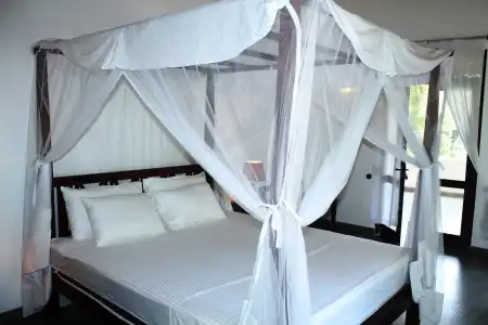Boutique Villa Shanthi - 6