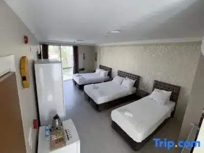 Punta Vista - 39
