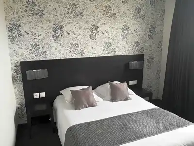 Hôtel Red Fox - 17