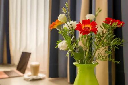 Novalis by Aurum Dresden - 45