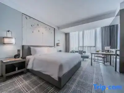 HUALUXE Xi an Chanba by IHG - 90