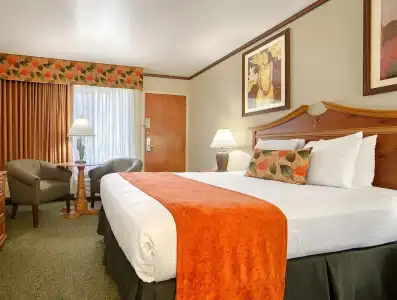 Best Western Seven Seas - 34