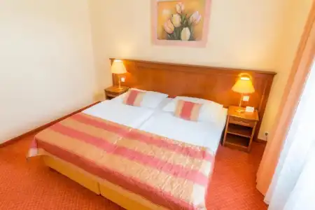 Danubius Health Spa Resort Centrální Lázne - 69