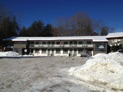 Happy Bear Motel - 14