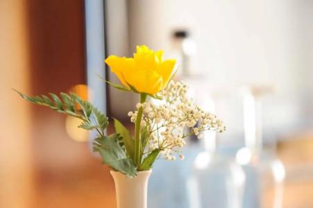 Fini-Resort Badenweiler - 78