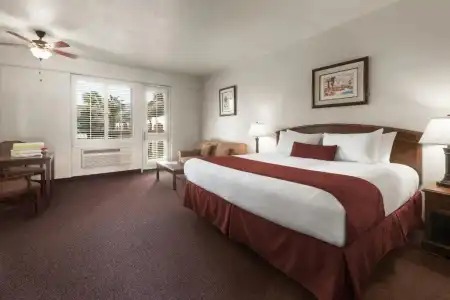 Palm Mountain Resort and Spa - 67