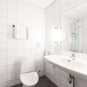 Scandic Alexandra - 40