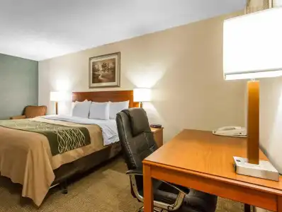 Comfort Inn at the Zoo - 28