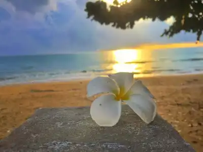 Khanom Golden Beach - 28