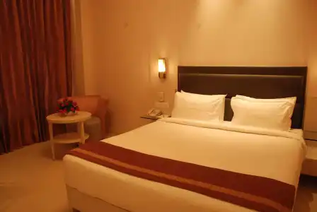 Sarovar Portico Naraina Delhi - 41