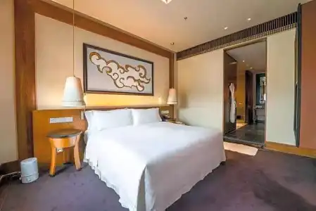 The St. Regis Lhasa Resort - 51