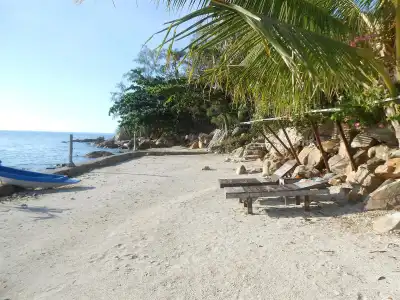 Zama Resort - 21