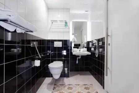 Hôtel Albert 1er - 52