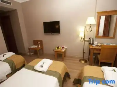 Zhejiang Business - 29