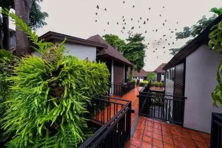 The Cliff Elegance Resort - 47