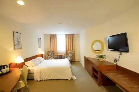 VIP (SG Clean Certified) - 32